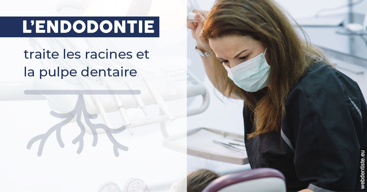 https://www.dentisteivry.fr/L'endodontie 1