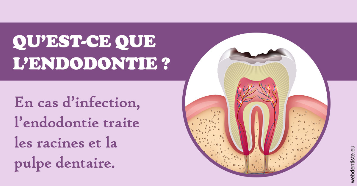 https://www.dentisteivry.fr/2024 T1 - Endodontie 02