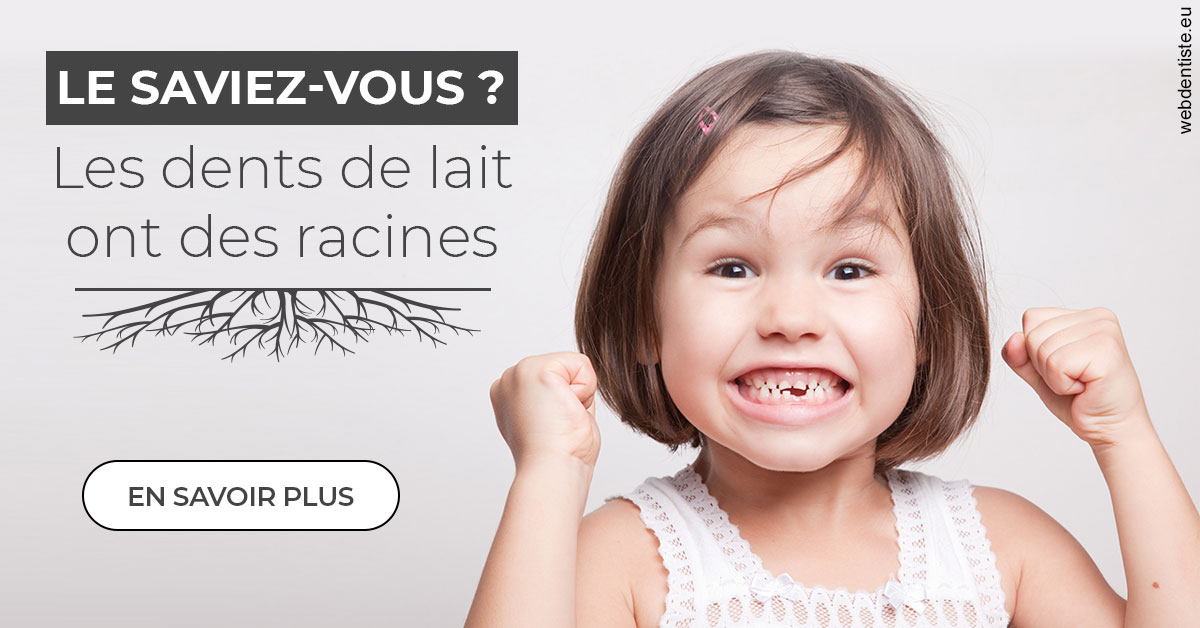 https://www.dentisteivry.fr/Les dents de lait