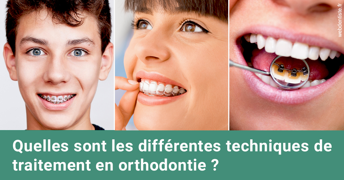 https://www.dentisteivry.fr/Les différentes techniques de traitement 2