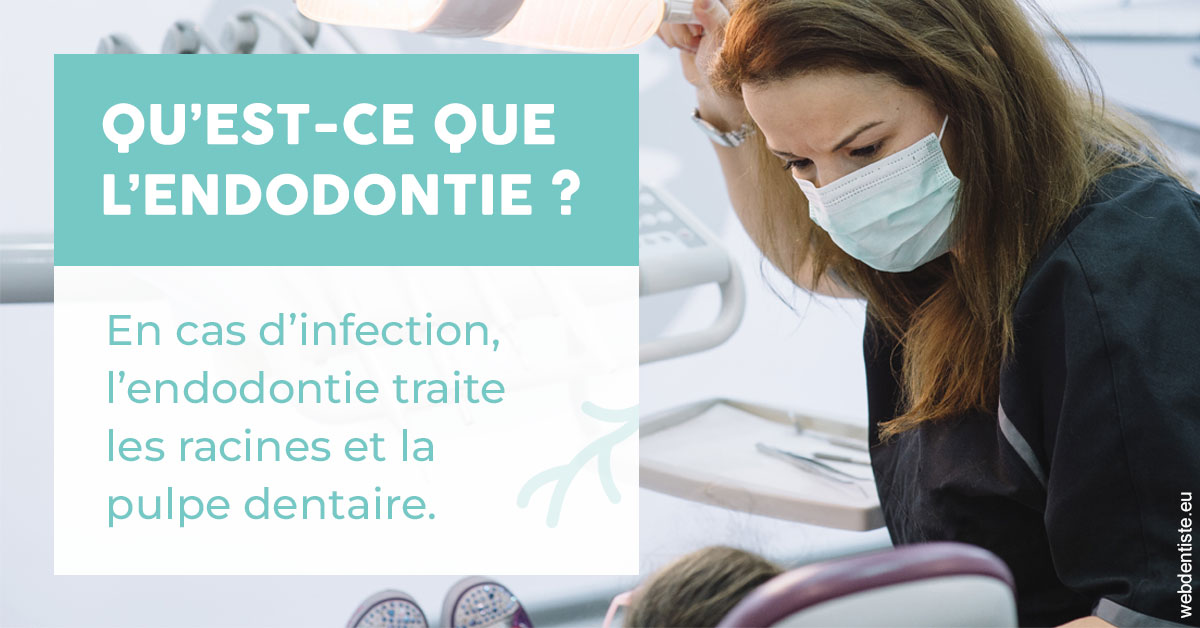 https://www.dentisteivry.fr/2024 T1 - Endodontie 01